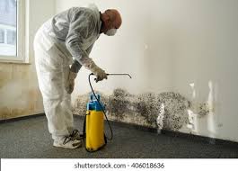 Mold Remediation for Vacation Homes in Nolensville, TN